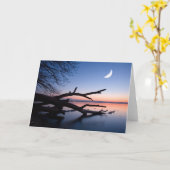 Tree at Starnberg Lake | Muensing Bavaria Germany Karte (Gelbe Blume)