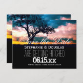 Tree at Sunset Save the Date Wedding Ankündigungspostkarte (Vorne/Hinten)