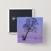 Tree auf dem Schneefeld Chippewa-Landkreis Button (Vorne & Hinten)