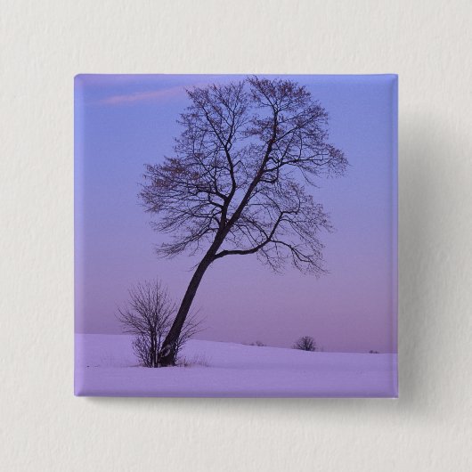 Tree auf dem Schneefeld Chippewa-Landkreis Button (Vorderseite)