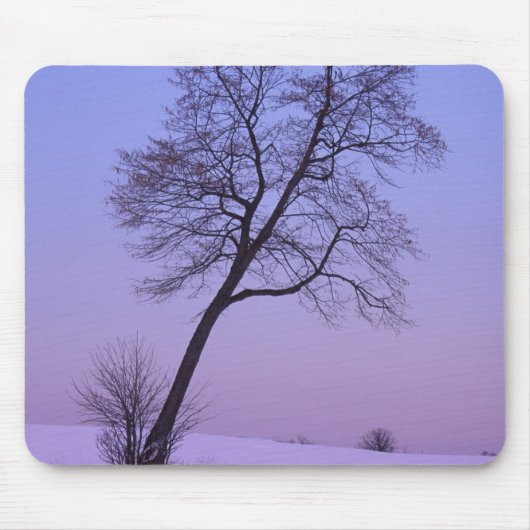 Tree auf dem Schneefeld Chippewa-Landkreis Mousepad (Vorne)