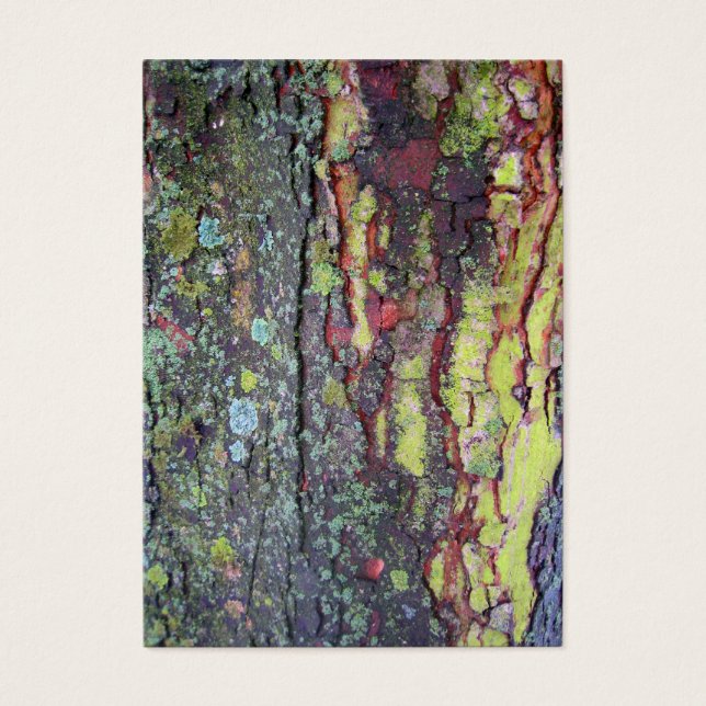 Tree Bark (Vorderseite)