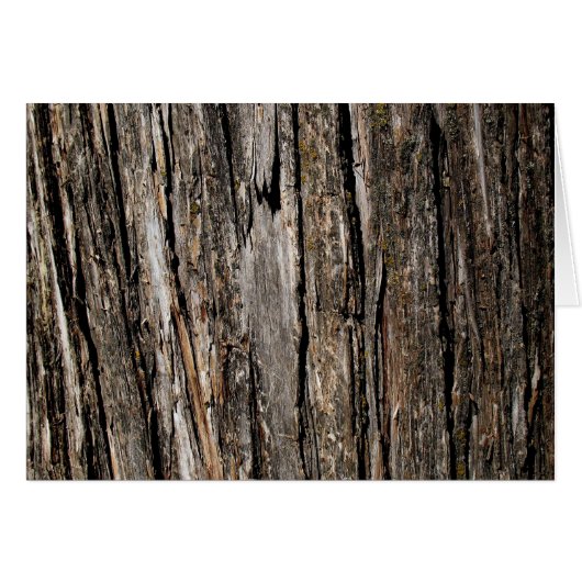 Tree Bark Blank (Vorderseite (Horizontal))