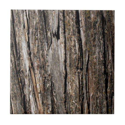 Tree Bark Fliese (Vorderseite)