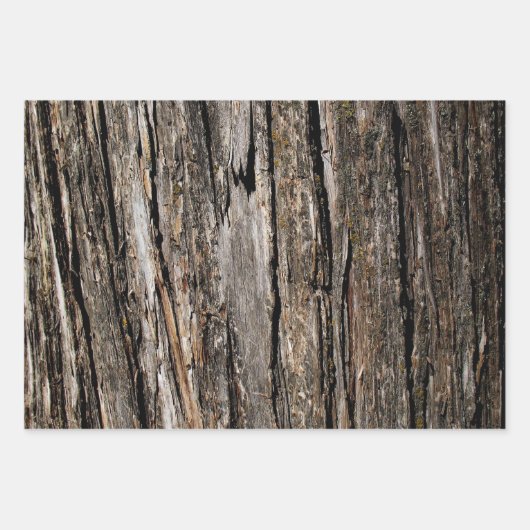 Tree Bark Geschenkpapier Set (Vorderseite 3)