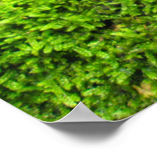 Tree Bark in Autumn Moss - Personalised Poster (Ecke)