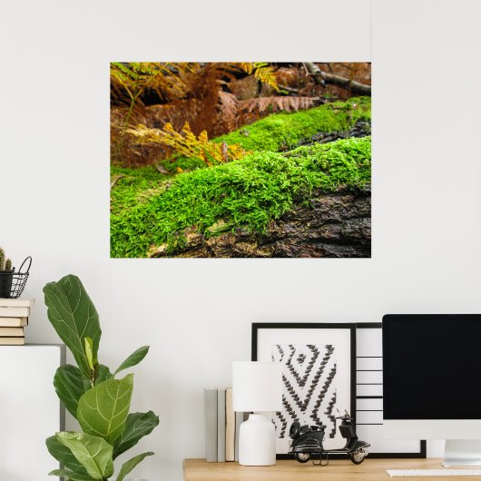 Tree Bark in Autumn Moss - Personalised Poster (Heimbüro)