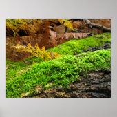 Tree Bark in Autumn Moss - Personalised Poster (Vorne)