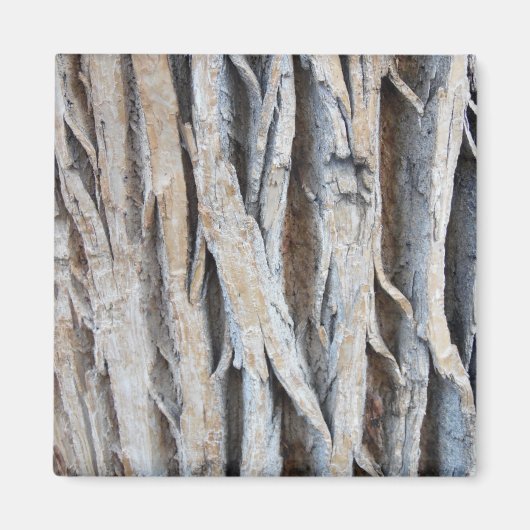 Tree Bark Magnet (Vorne)