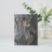 Tree Bark Makrofotografie Postkarte (Stehend Vorderseite)