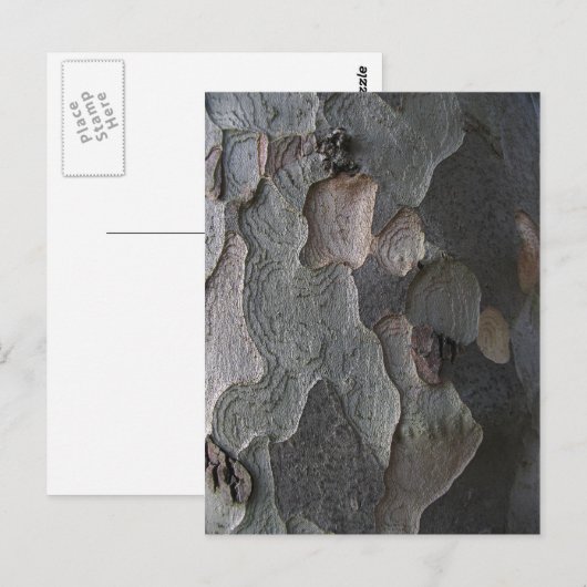 Tree Bark Makrofotografie Postkarte (Vorne/Hinten)
