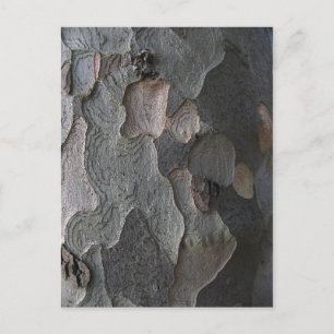 Tree Bark Makrofotografie Postkarte