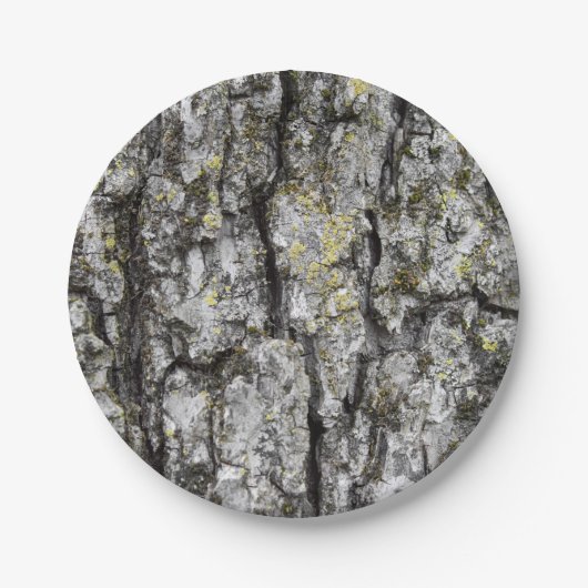 Tree Bark Pappteller (Vorderseite)
