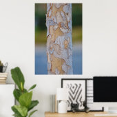 Tree Bark Poster (Heimbüro)