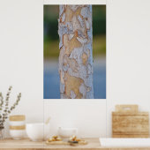 Tree Bark Poster (Küche)