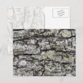 Tree Bark Postkarte (Vorne/Hinten)