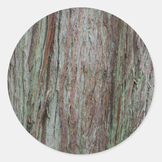 Tree Bark Runder Aufkleber (Vorderseite)