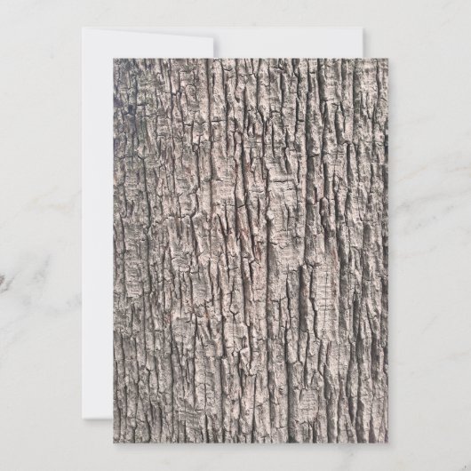 Tree Bark Save the Date Card (Rückseite)