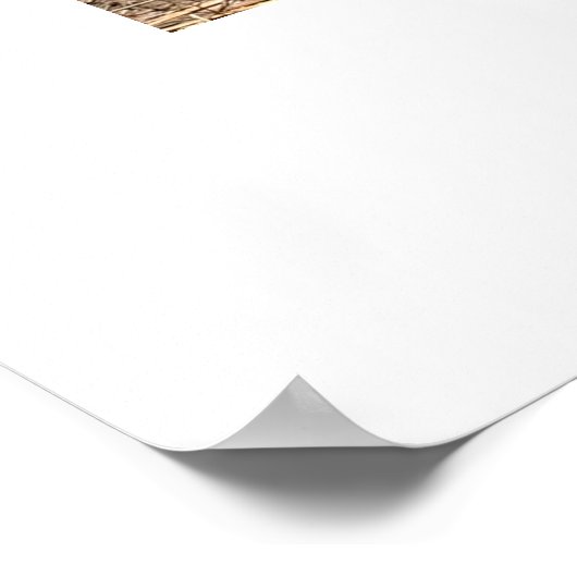 Tree Bark Texture Large Knothole Poster (Ecke)