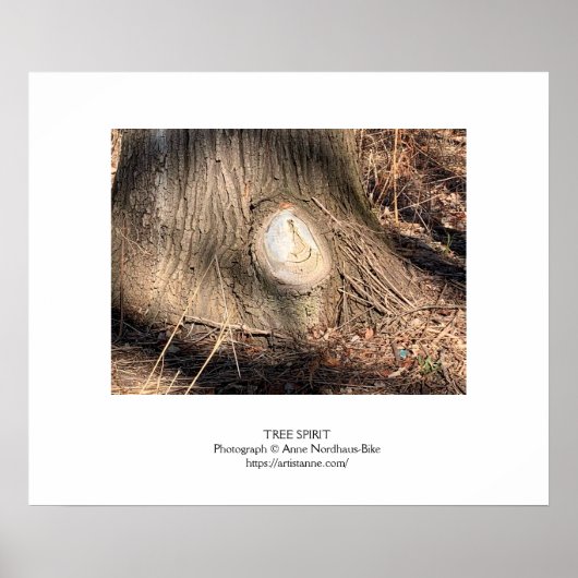 Tree Bark Texture Large Knothole Poster (Vorne)