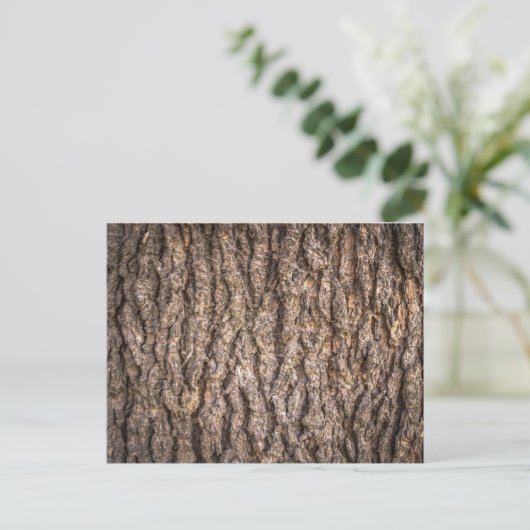 Tree Bark Texture Postkarte (Stehend Vorderseite)
