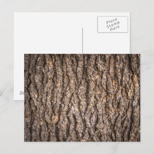 Tree Bark Texture Postkarte (Vorne/Hinten)