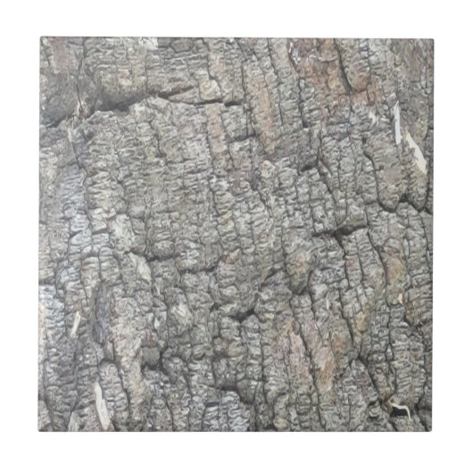 Tree Bark Tile Fliese (Vorderseite)