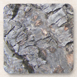Tree Bark Untersetzer