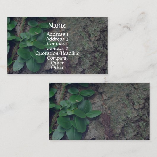 Tree Bark Verlasst Nature Fotografy Business Card Visitenkarte (Vorne/Hinten)