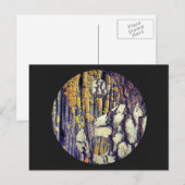 Tree Bark Yin Yang Postcard Postkarte (Vorne/Hinten)