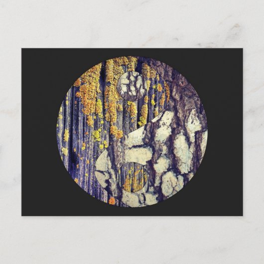 Tree Bark Yin Yang Postcard Postkarte (Vorderseite)