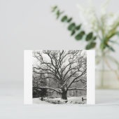 Tree Bedford Oak New York City Postkarte (Stehend Vorderseite)