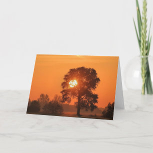 Tree bei Sonnenuntergang Grußkarte Karte