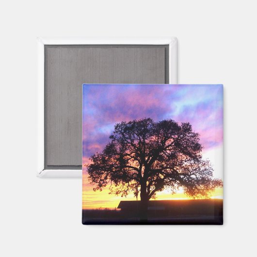 Tree bei Sunset Magnet (Vorderseite/Rückseite)