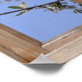 Tree Blossom aus einem Fenster Poster (Ecke)