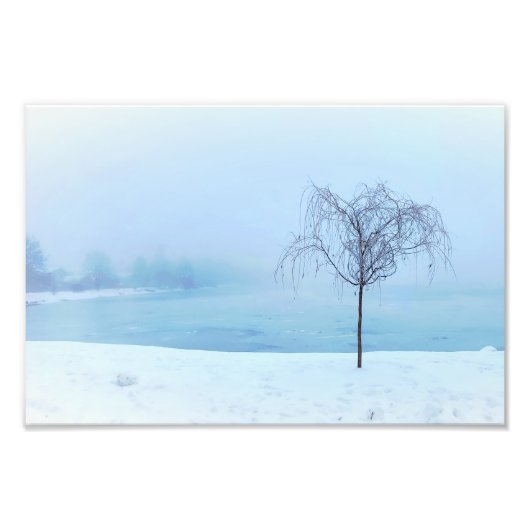 Tree by a Frozen Lake Fotodruck (Vorne)