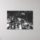 Tree Canopy II, Bute Park, Cardiff Leinwanddruck (Vorderseite)