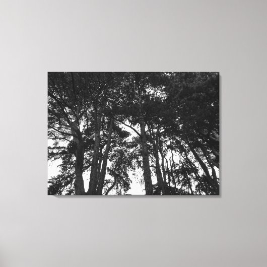 Tree Canopy II, Bute Park, Cardiff Leinwanddruck (Vorderseite)