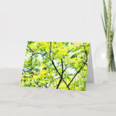 Tree Canopy Pop Art Karte (Vorderseite)