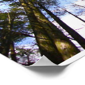 Tree Canopy Poster (Ecke)