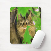 Tree Cat Mousepad (Mit Mouse)