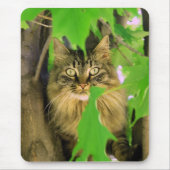 Tree Cat Mousepad (Vorne)