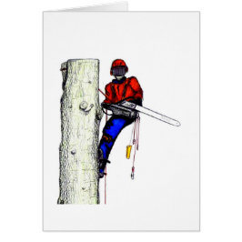 Tree Chirurg Arborist am Werk zur Zeit Chainsaw