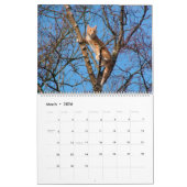 Tree Climbing Kätzchen Cat & Kittens in Bäumen 202 Kalender (Mär 2026)