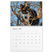 Tree Climbing Kätzchen Cat & Kittens in Bäumen 202 Kalender (Feb 2027)