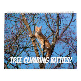 Tree Climbing Kätzchen Cat & Kittens in Bäumen 202 Kalender