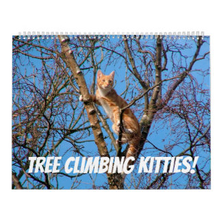 Tree Climbing Kätzchen Cat & Kittens in Bäumen 202 Kalender