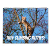Tree Climbing Kätzchen Cat & Kittens in Bäumen 202 Kalender (Titelbild)