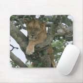 Tree climbing lioness (Panthera leo), Queen Mousepad (Mit Mouse)