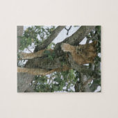 Tree climbing lioness (Panthera leo), Queen Puzzle (Horizontal)